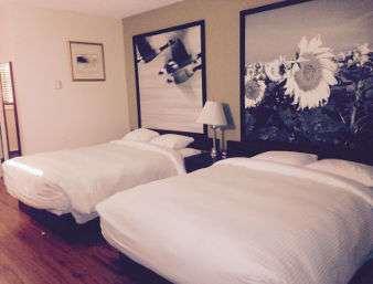 Super 8 By Wyndham Smoky Lake Phòng bức ảnh